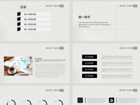 素雅读书分享PPT